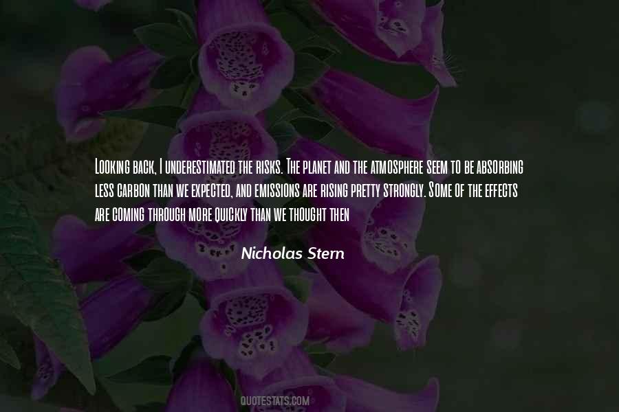 Nicholas Stern Quotes #926496