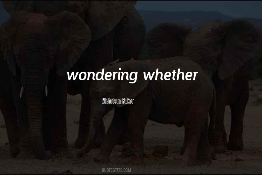 Nicholson Baker Quotes #1167689