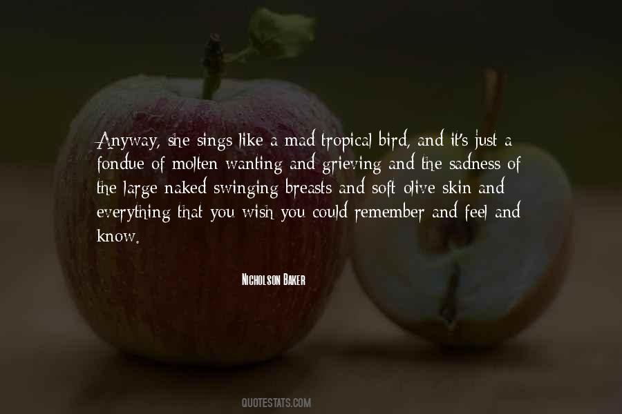 Nicholson Baker Quotes #569989