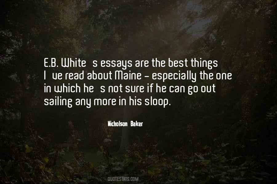 Nicholson Baker Quotes #981311