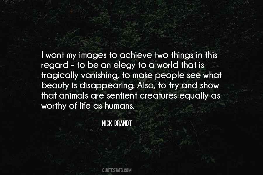 Nick Brandt Quotes #966220