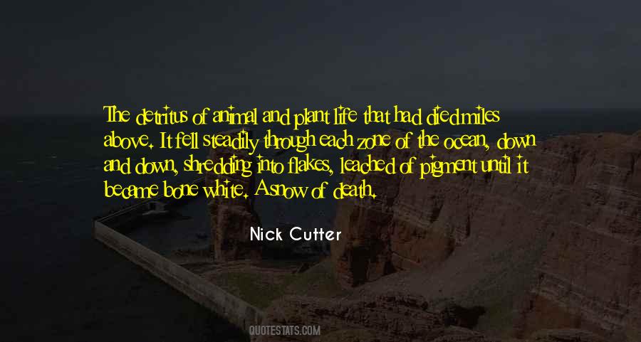 Nick Cutter Quotes #1693516