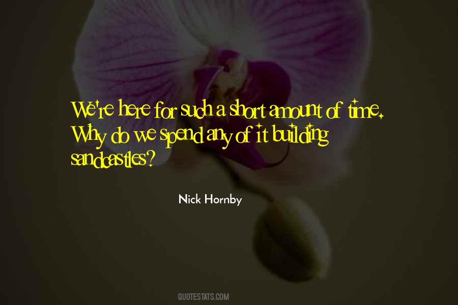 Nick Hornby Quotes #296309