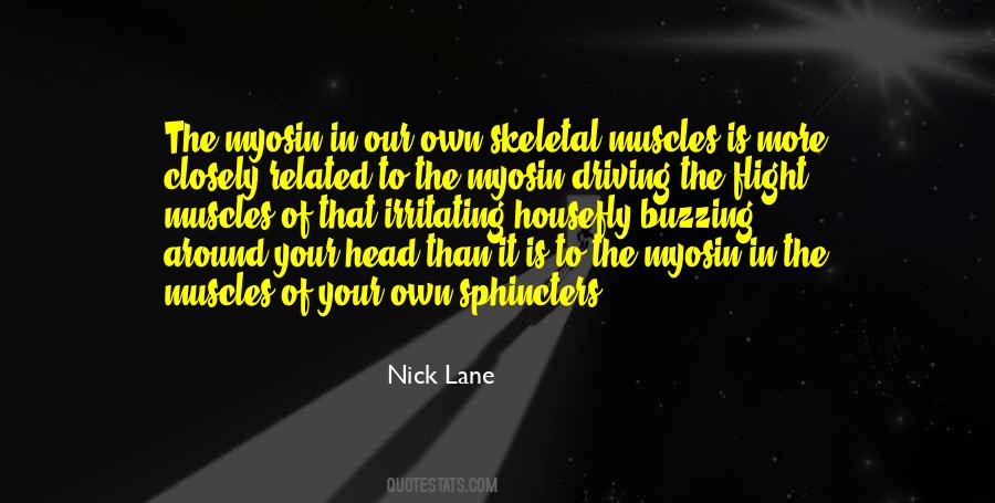 Nick Lane Quotes #915098