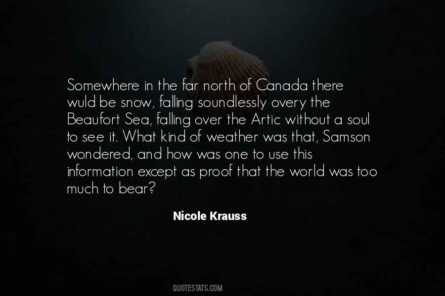 Nicole Krauss Quotes #439924