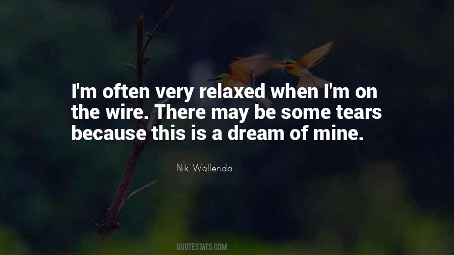 Nik Wallenda Quotes #563391