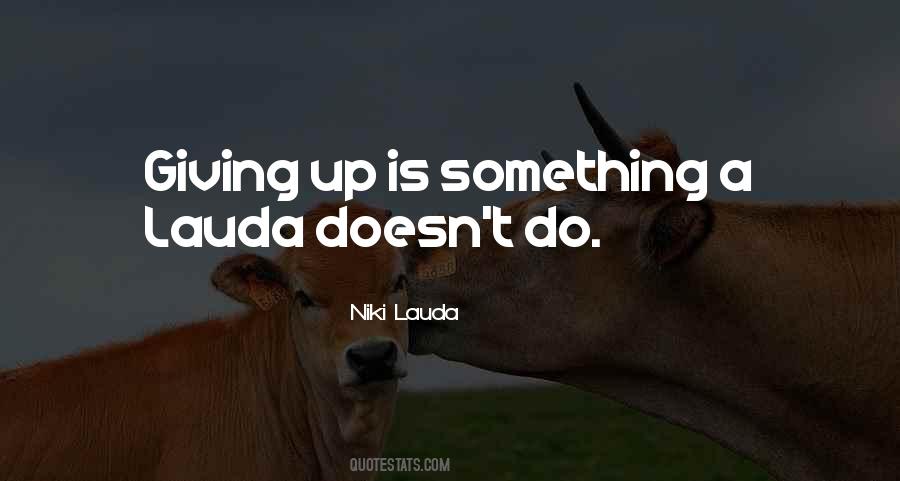 Niki Lauda Quotes #1242091