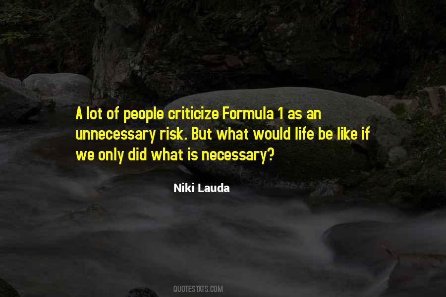 Niki Lauda Quotes #1393118