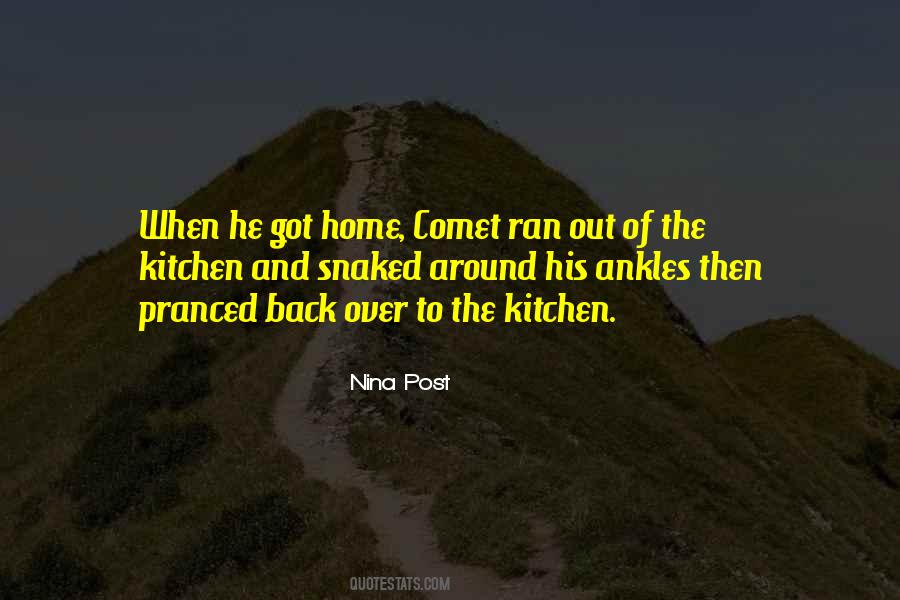 Nina Post Quotes #1195194