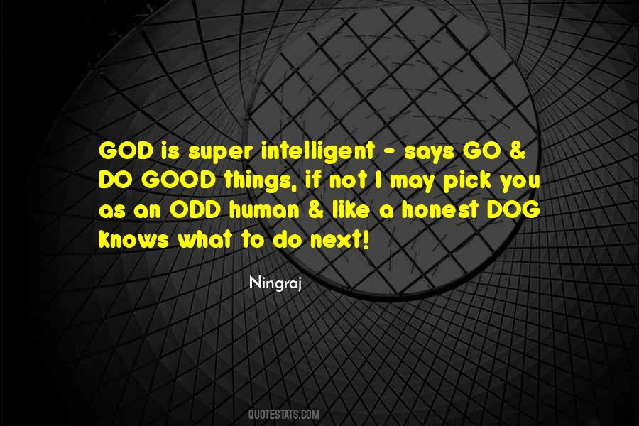 Ningraj Quotes #558023 Ningraj Quotes #558023