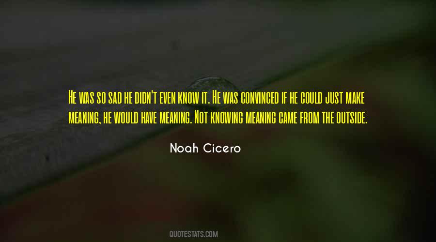 Noah Cicero Quotes #1425101