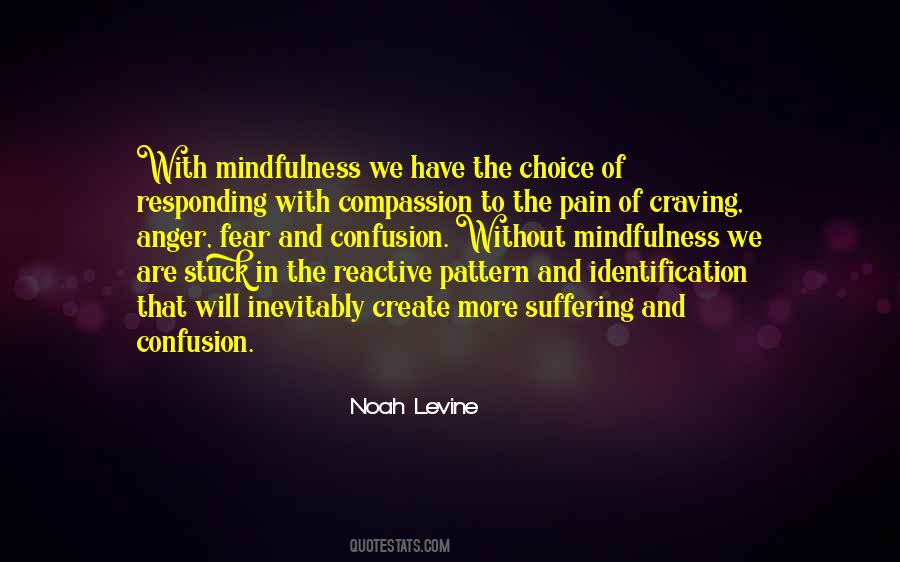 Noah Levine Quotes #891411