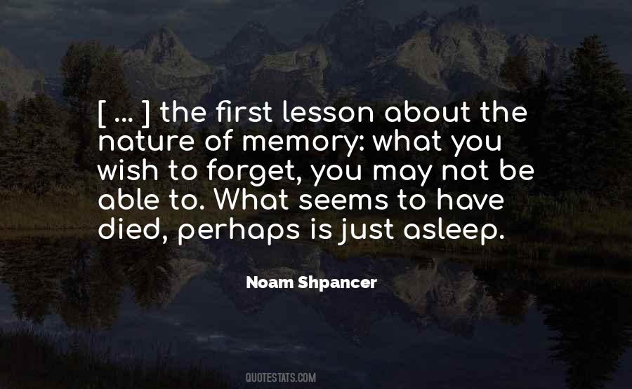Noam Shpancer Quotes #288696