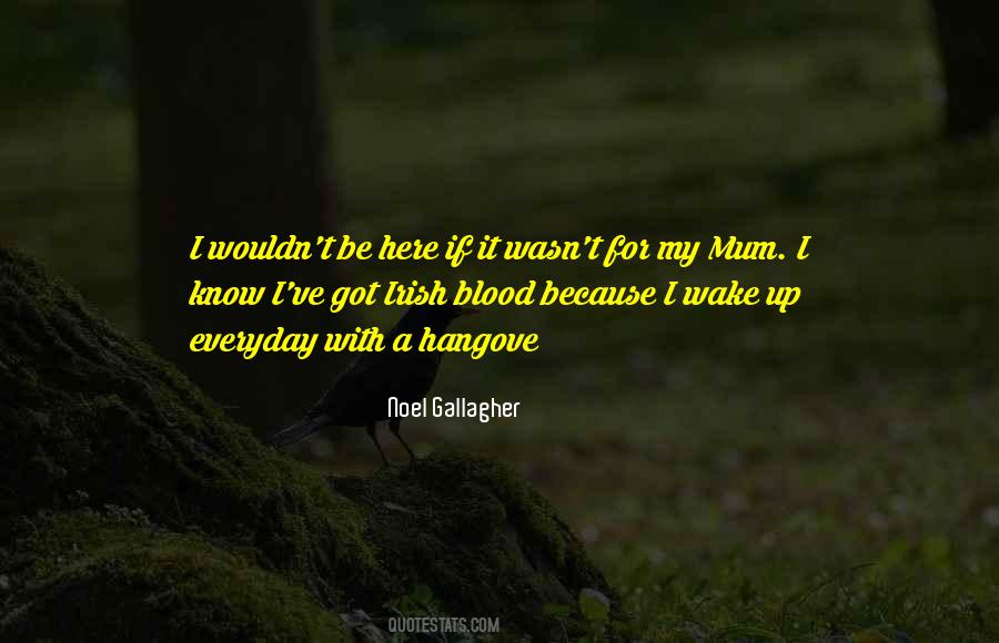 Noel Gallagher Quotes #683220