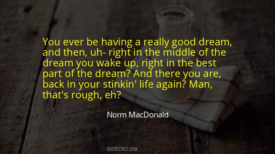 Norm MacDonald Quotes #1167889