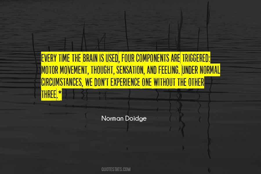 Norman Doidge Quotes #1172359