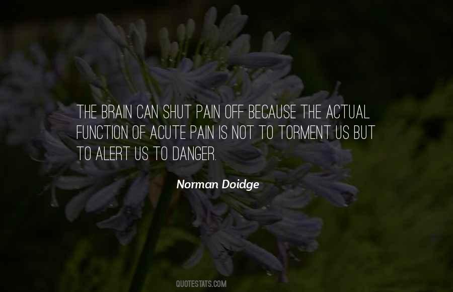 Norman Doidge Quotes #1531680