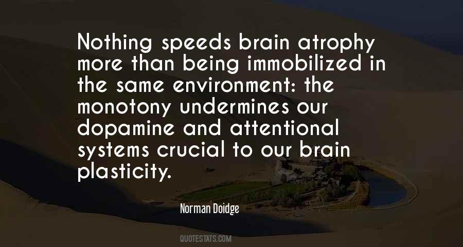 Norman Doidge Quotes #1665640