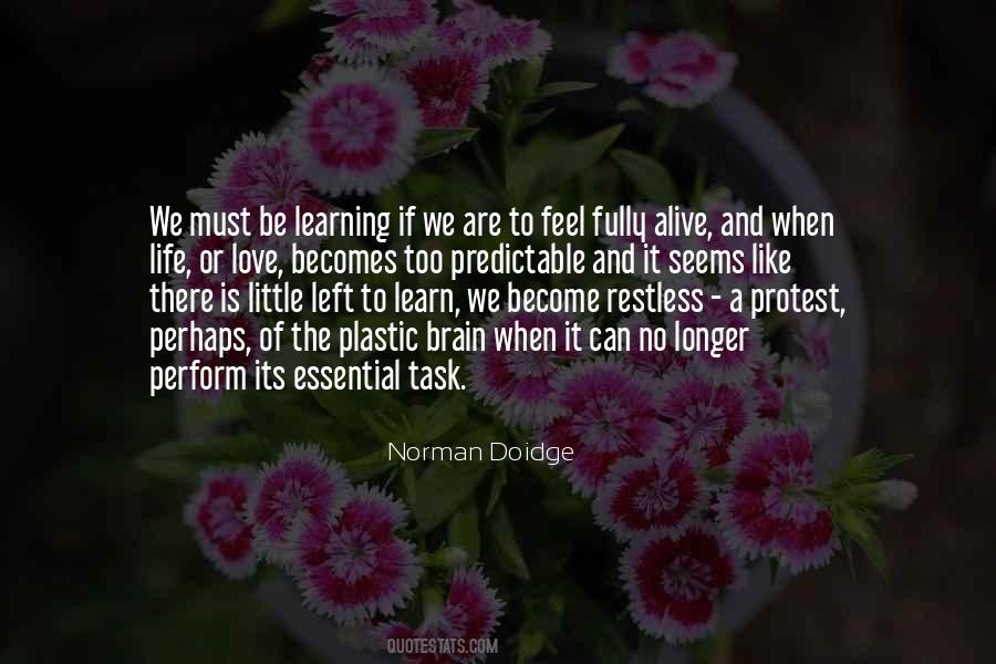 Norman Doidge Quotes #1723528