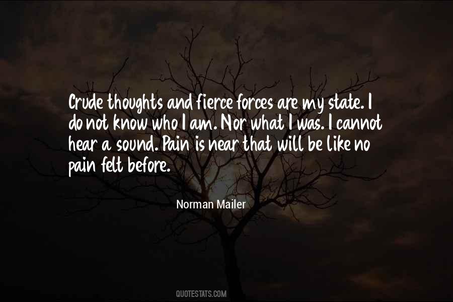 Norman Mailer Quotes #1729810