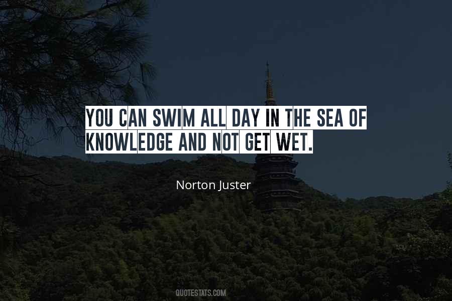 Norton Juster Quotes #1099362