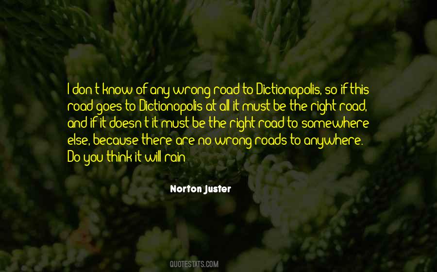 Norton Juster Quotes #1113245