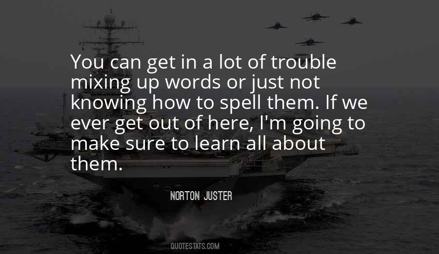 Norton Juster Quotes #1496308