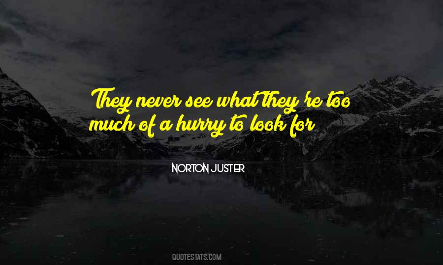 Norton Juster Quotes #1654739