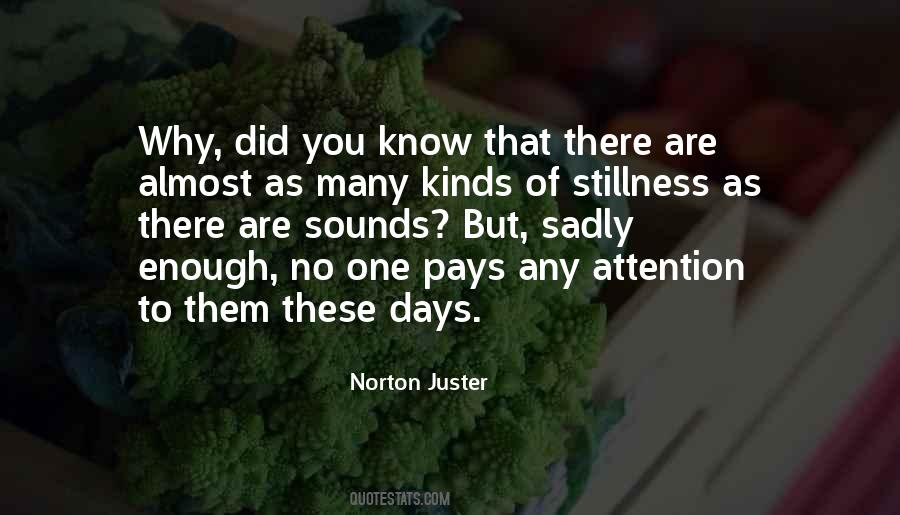 Norton Juster Quotes #1791742