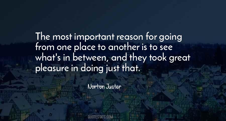 Norton Juster Quotes #210452
