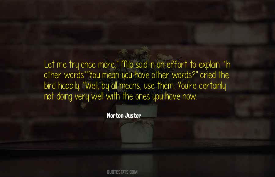 Norton Juster Quotes #229809