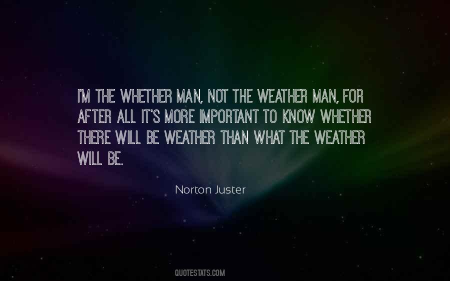 Norton Juster Quotes #721238