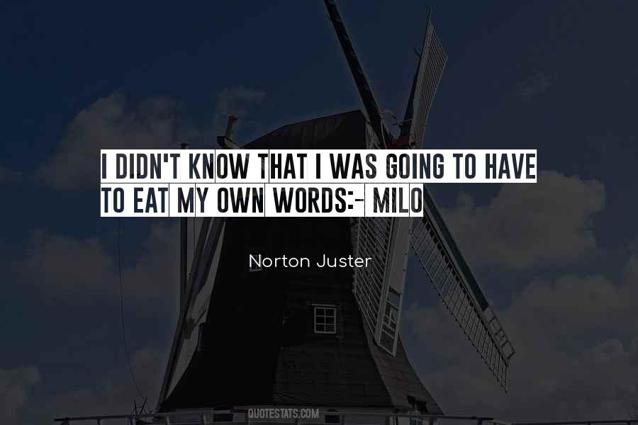 Norton Juster Quotes #997024