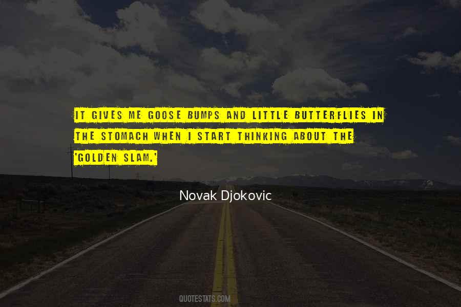 Novak Djokovic Quotes #376250