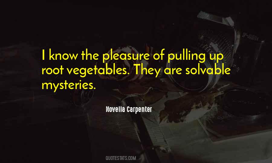 Novella Carpenter Quotes #1569722