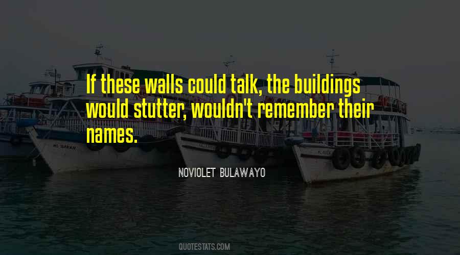 NoViolet Bulawayo Quotes #39038