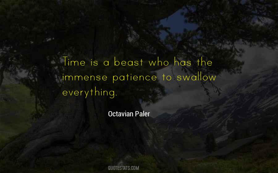 Octavian Paler Quotes #1111926