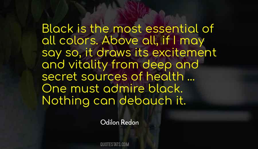 Odilon Redon Quotes #1498698