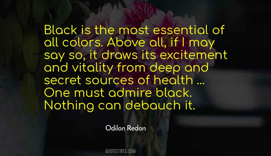 Odilon Redon Quotes #1498698 Odilon Redon Quotes #1498698