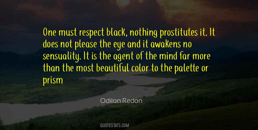 Odilon Redon Quotes #696292