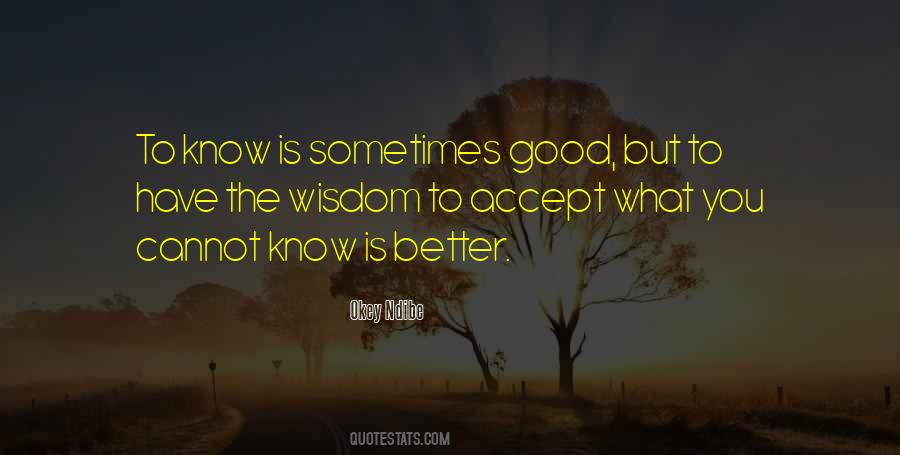 Okey Ndibe Quotes #939435