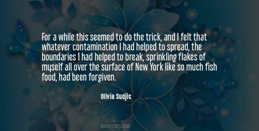 Olivia Sudjic Quotes #1042796