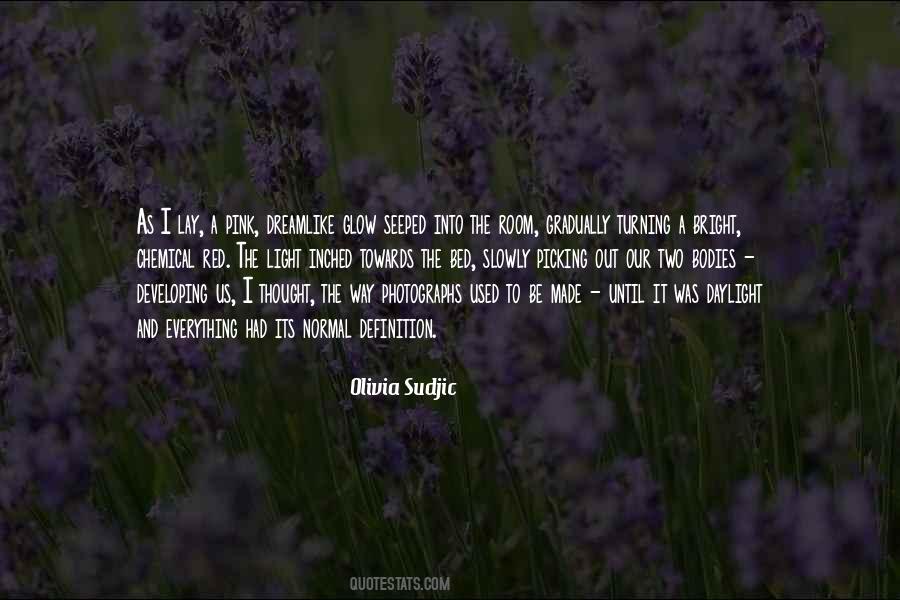 Olivia Sudjic Quotes #645024