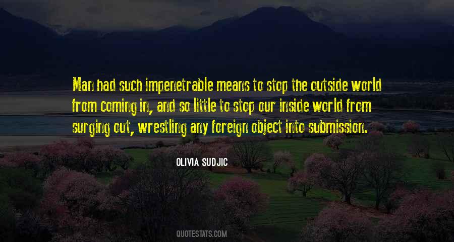 Olivia Sudjic Quotes #773439