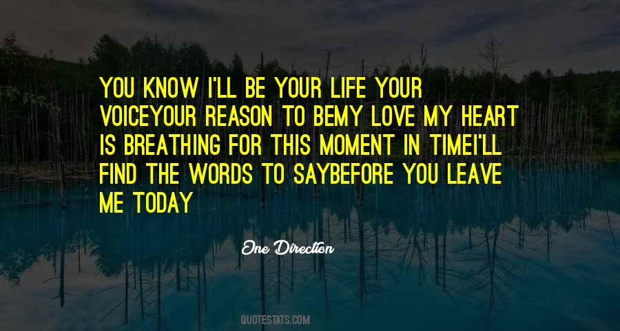 One Direction Quotes #247863