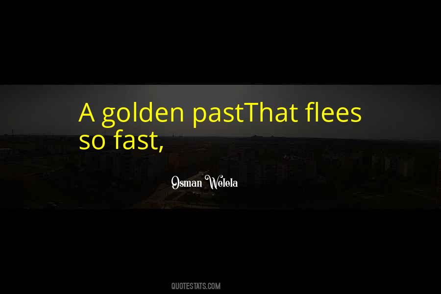 Osman Welela Quotes #1417962