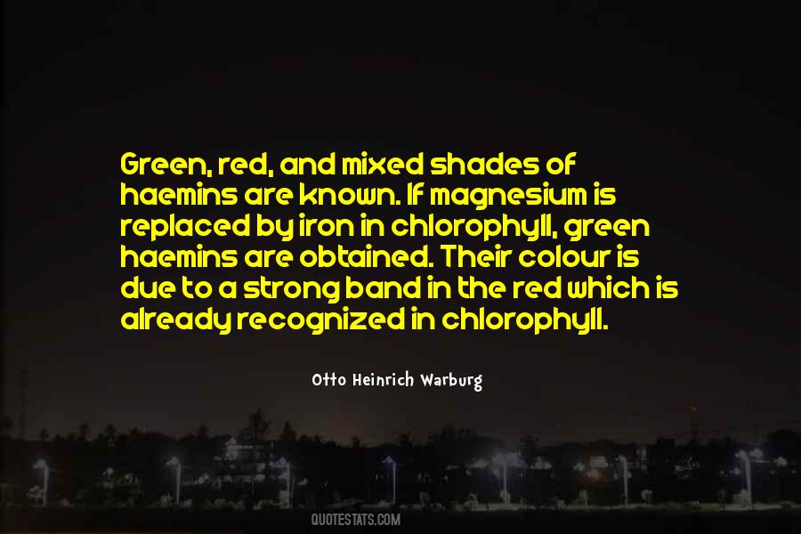 Otto Heinrich Warburg Quotes #420843