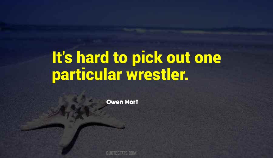 Owen Hart Quotes #773474