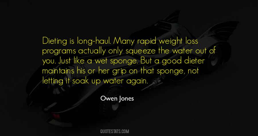 Owen Jones Quotes #689139