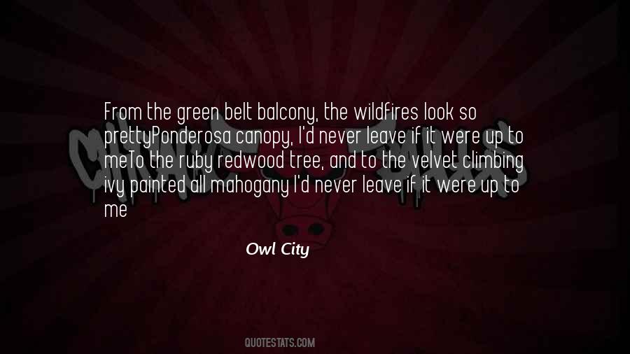 Owl City Quotes #1318397